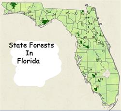 078 FL_StateForests